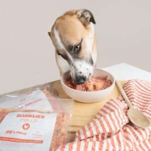 Perro disfrutando de una comida natural Barklies, hecha con 95% pollo y 5% verduras y frutas, presentada en un cuenco junto a paquetes del producto envasado y un paño a rayas naranjas.