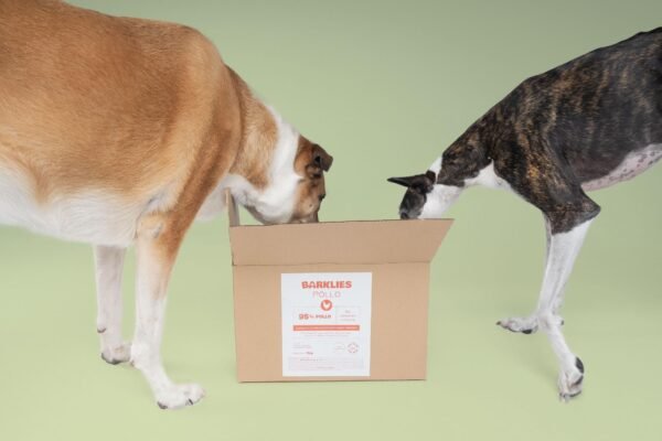 Dos perros curiosos explorando una caja de Barklies Pollo, que contiene alimentos naturales con 95% pollo y 5% verduras y frutas, sobre un fondo verde claro.