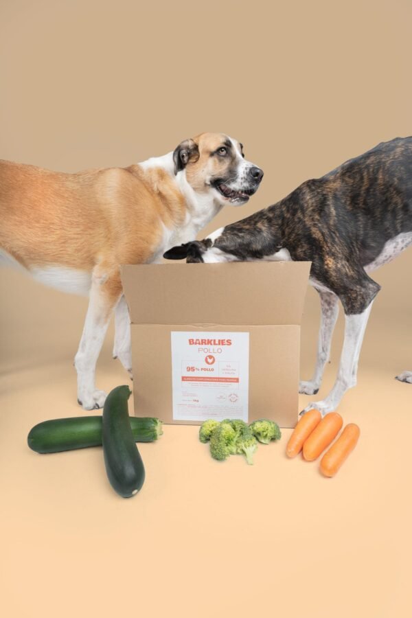 Dos perros explorando una caja de Barklies Pollo, rodeados de ingredientes frescos como zanahorias, brócoli y calabacines, sobre un fondo beige que resalta la naturalidad del producto.