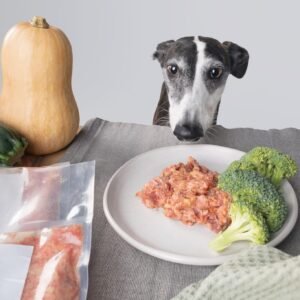 Perro observando atentamente un plato con comida Barklies, acompañado de brócoli fresco, calabacines y una calabaza, destacando la calidad natural de los ingredientes.