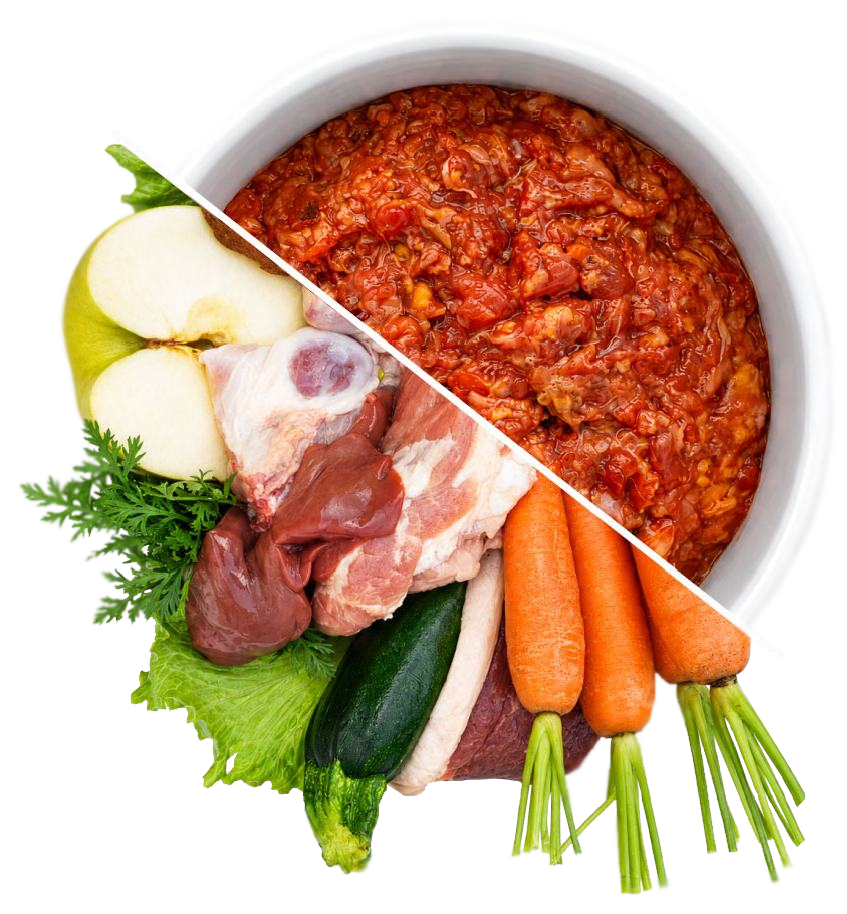 Bol de alimentación natural con carne y verduras